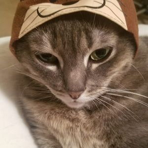 Meet your Posher, Linda